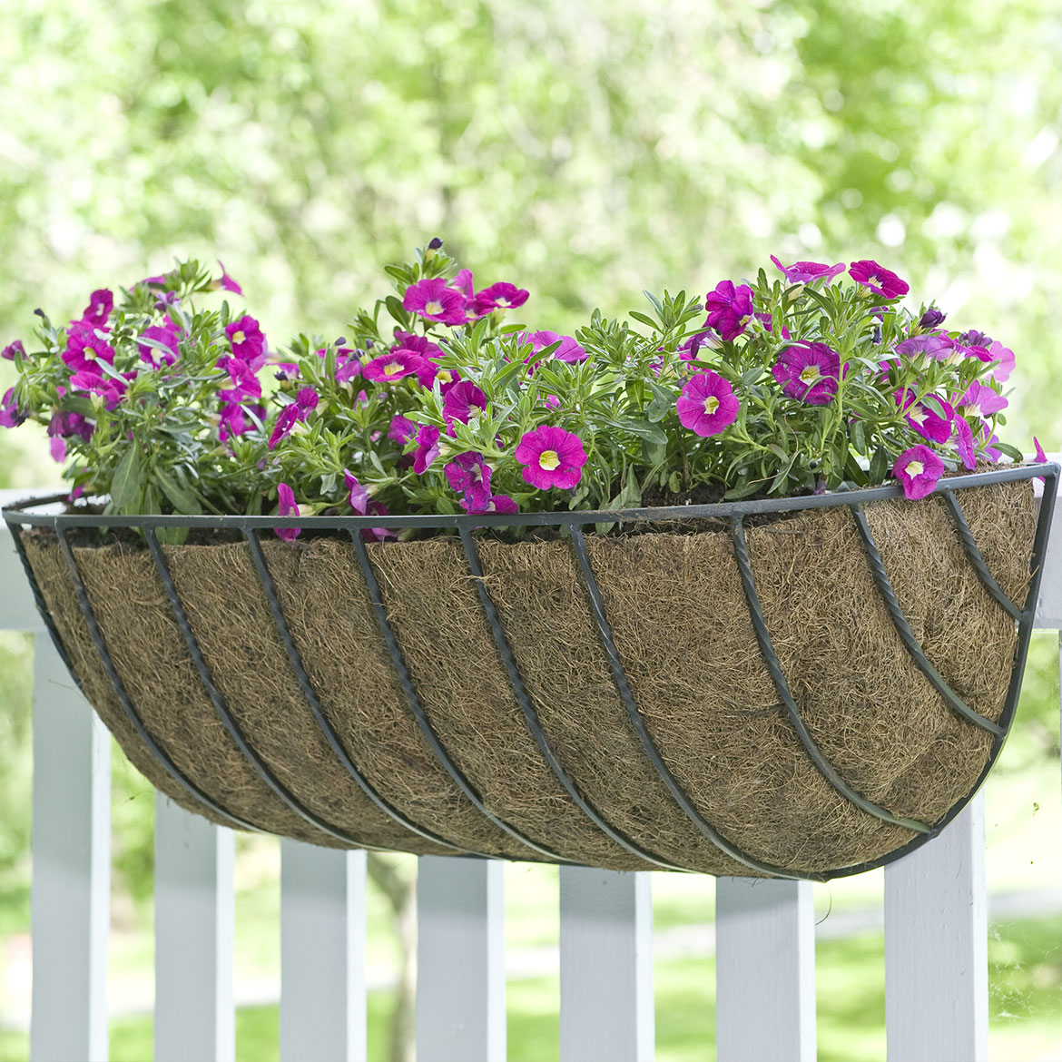 Rail Planters